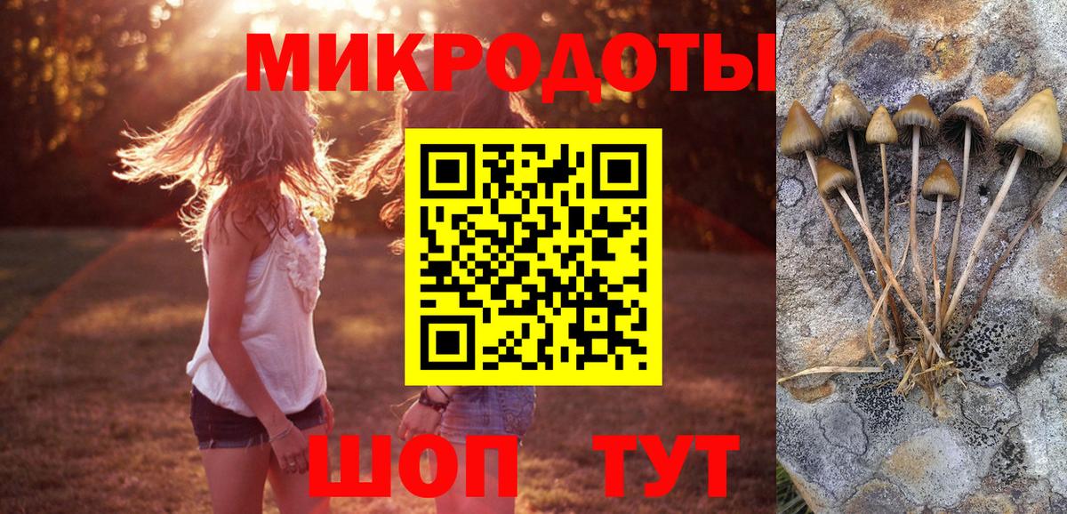 Галлюциногенные грибы ЛСД Вятские Поляны