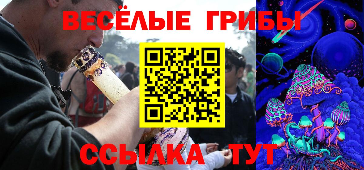 Вятские Поляны  Галлюциногенные грибы Cubensis  Галлюциногенные грибы GOLDEN TEACHER  Вход с VPN 