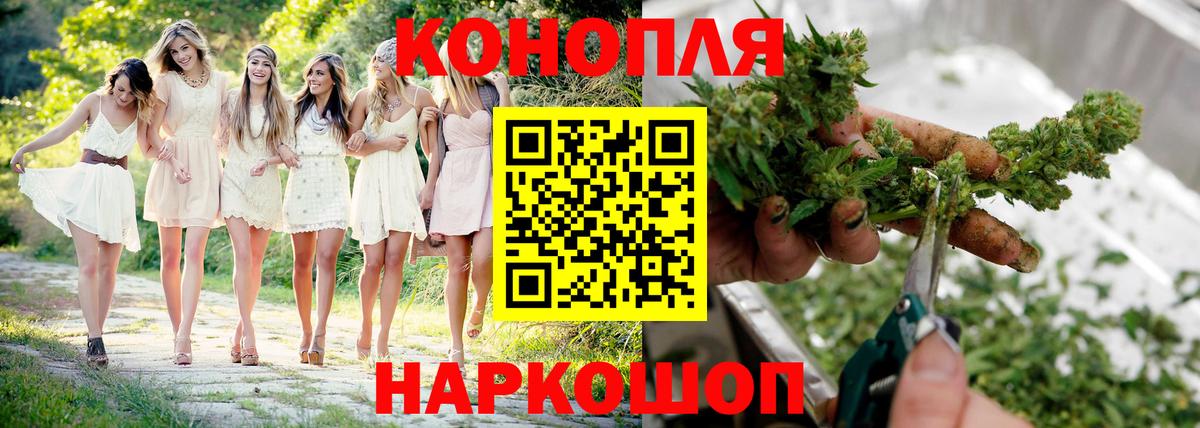 Конопля планчик Вятские Поляны